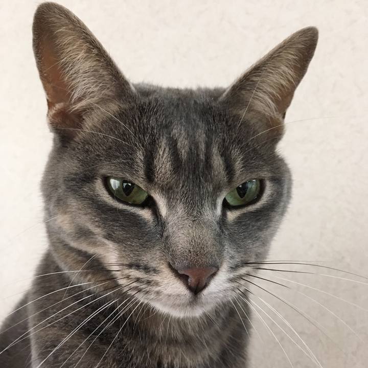 6c816ef6 2da2 494b 85cc 46cc819f2f00 1529194877673