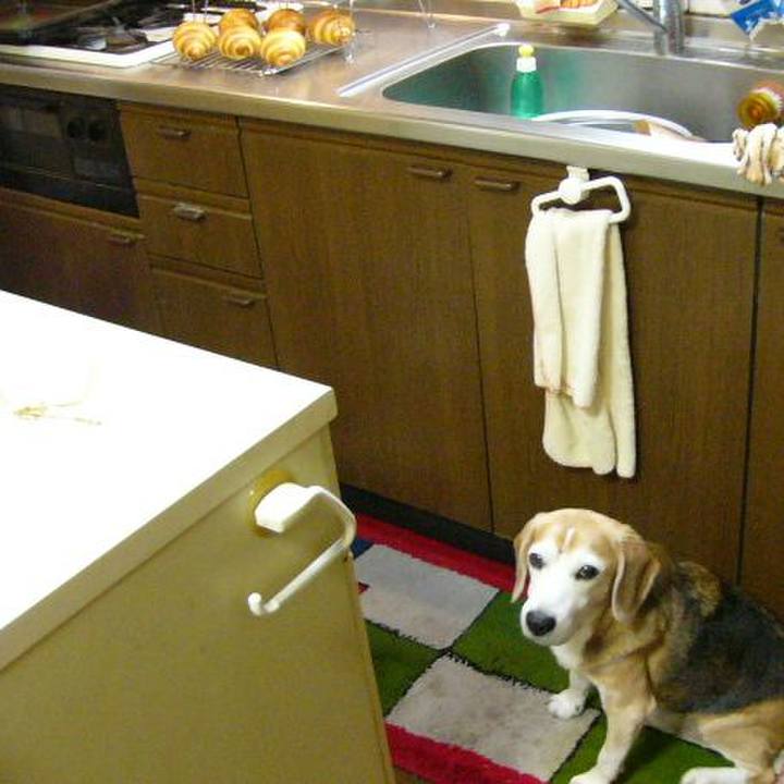 6c81bc5f 6302 44e8 9993 50902bc397f3 1657324083573