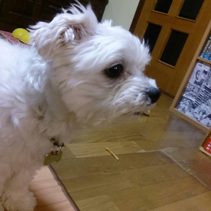 6c81d47f 68fb 440f 9a0f 851e3ba57d4f 1525613406579