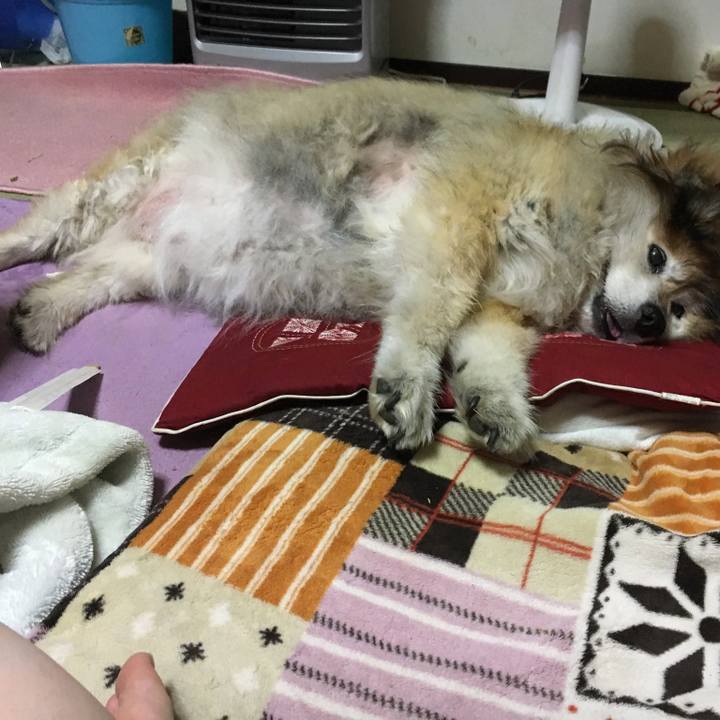 6c81e8d4 e738 44ba 9912 ad0f584539ae 1589649291007