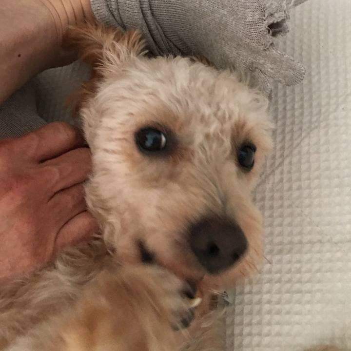 6c81f14c 0337 4d08 995e ca7b887c5fd1 1511835826350