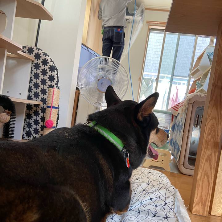 6c821655 ab2d 4df2 a6ee fae957b9f819 1596074668777