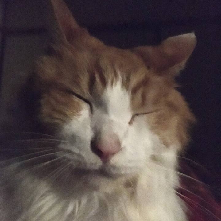 6c824196 cc5d 4e2e b15c 7e04a1989850 1574002232484