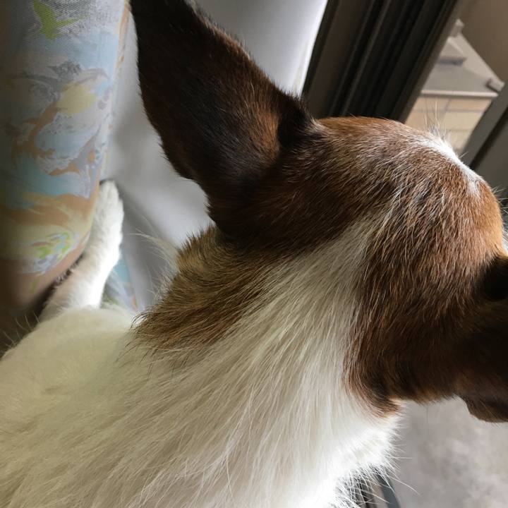 6c82422e c882 4b52 932c 2177cf326350 1654644514597