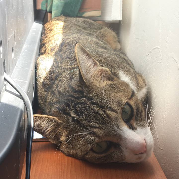 6c824f23 2eda 4c04 aa9a 3a5a744ab613 1669774500998