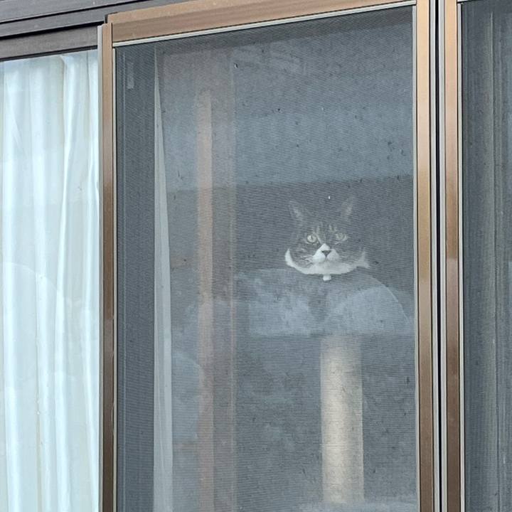 6c827537 c18a 40b8 8937 6051eebcd5a1 1769214604672