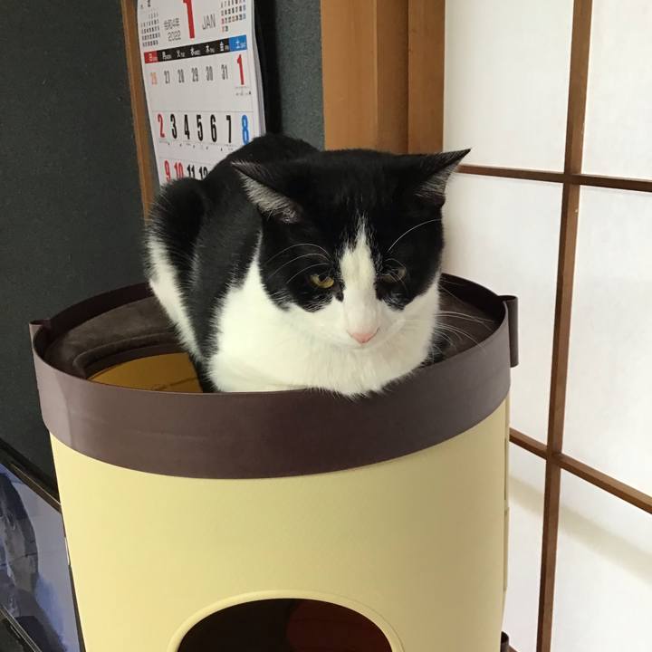 6c827f40 5829 4eb2 be65 d48c391f6a97 1642653962796