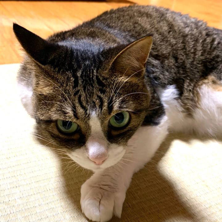 6c82a839 7eda 4a18 9e64 7b3ec9bb17f3 1593093704715