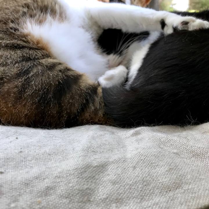 6c82ad75 9097 482d 9be8 aa98362e135f 1556878503980