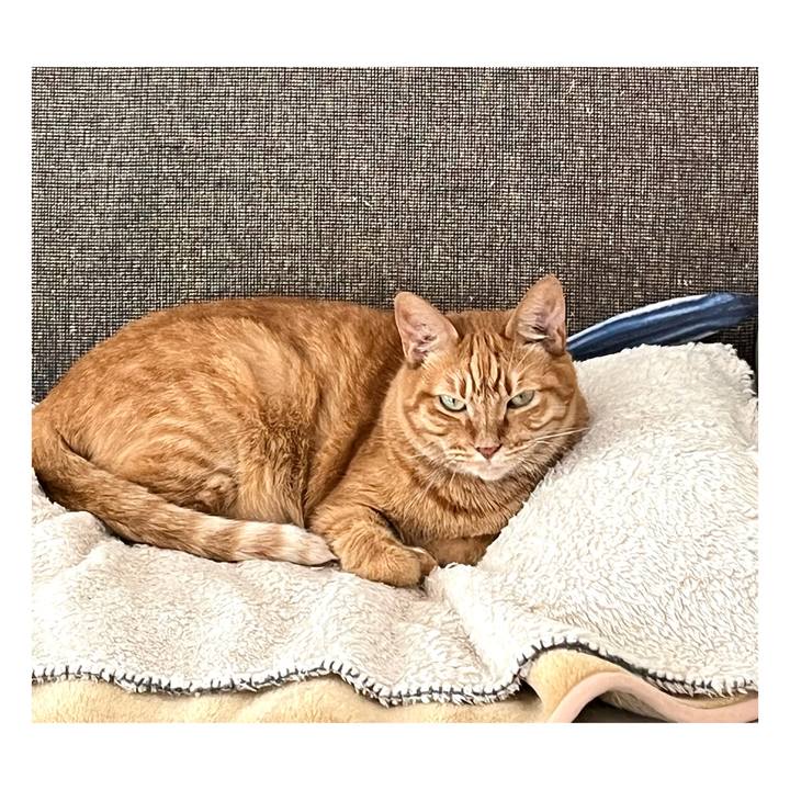 6c82ae31 6862 4a73 bc7b 22139b5aa039 1667492602197