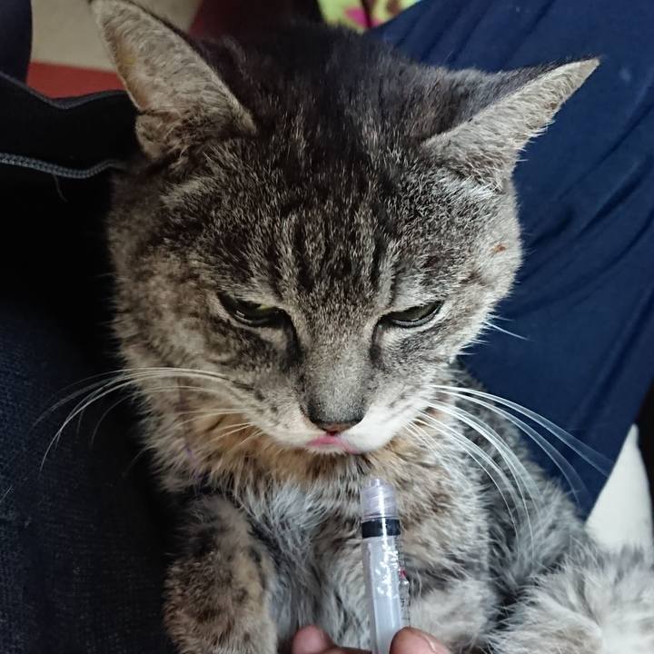 6c82c919 593c 4e14 9cff 3ddfe2d94180 1579470569774