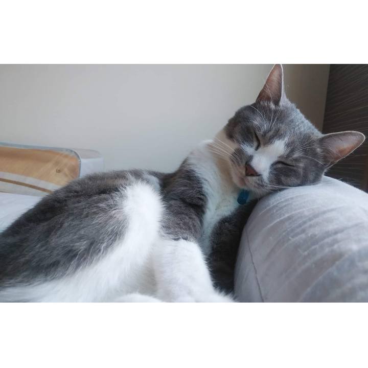 6c82cfaa 6664 4594 8e9c 7ce3602a2622 1658050683311