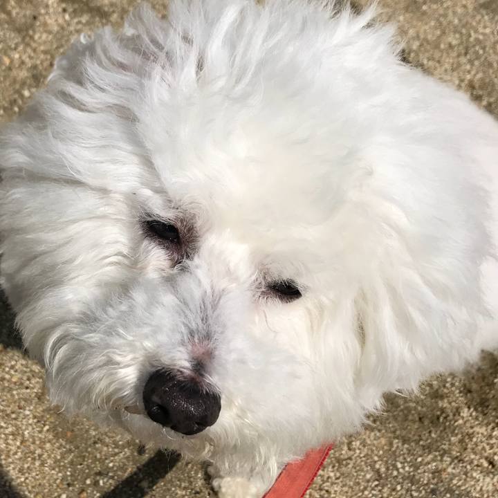 6c82dbd2 9b93 4ec4 a2cd 116713ce4d79 1555556061658