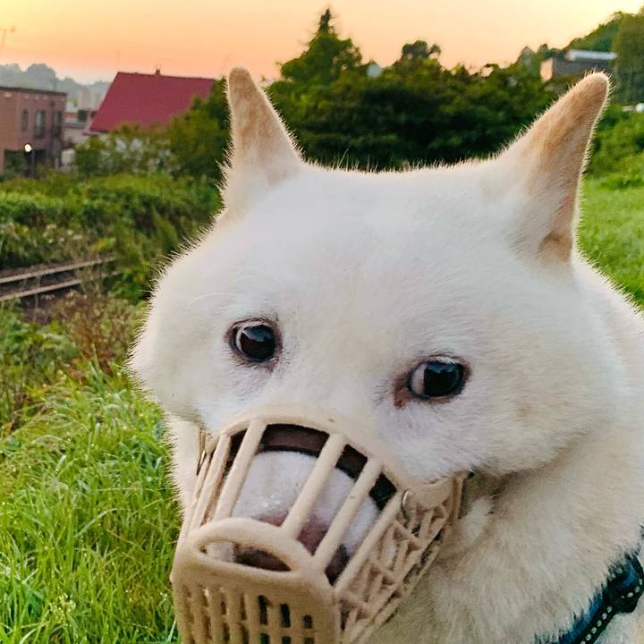 6c82ea9a 87c6 431c bf51 c9f22dd8a6e2 1629491324271