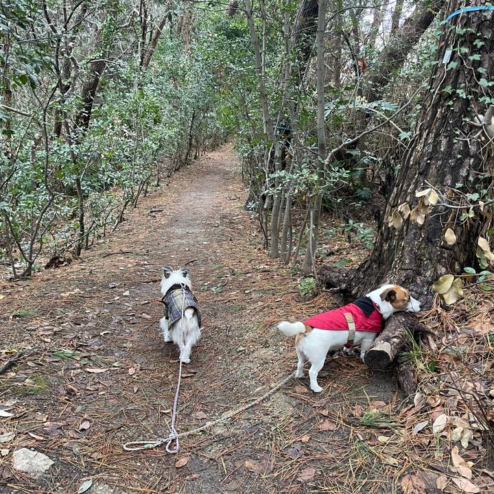 6c832ec6 0856 4a8e b674 338885681c48 1704585611998