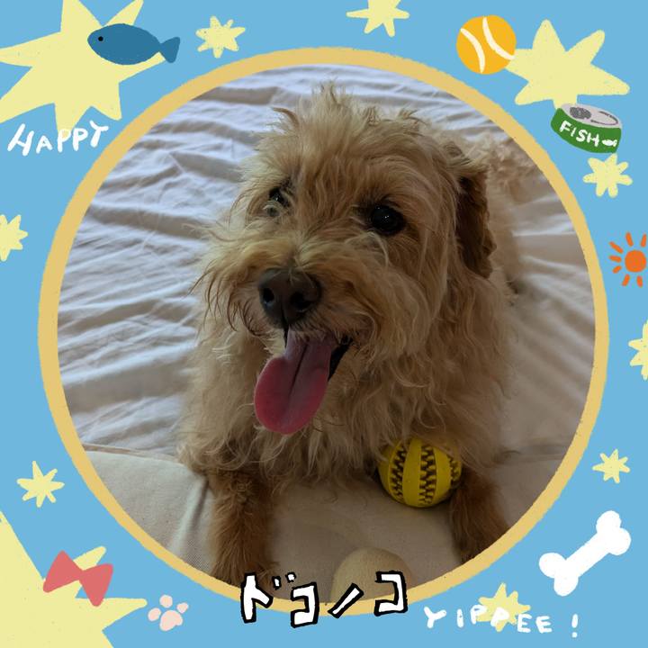 6c835282 c367 470c afe9 649cbe16c2a2 1720786100815