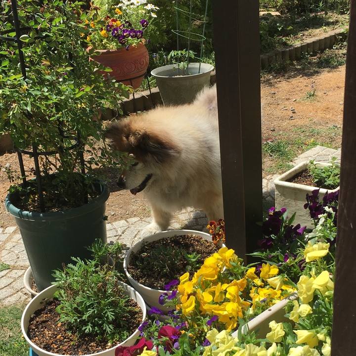 6c838171 5434 4eb5 94b1 ff6f178b55df 1628039761512