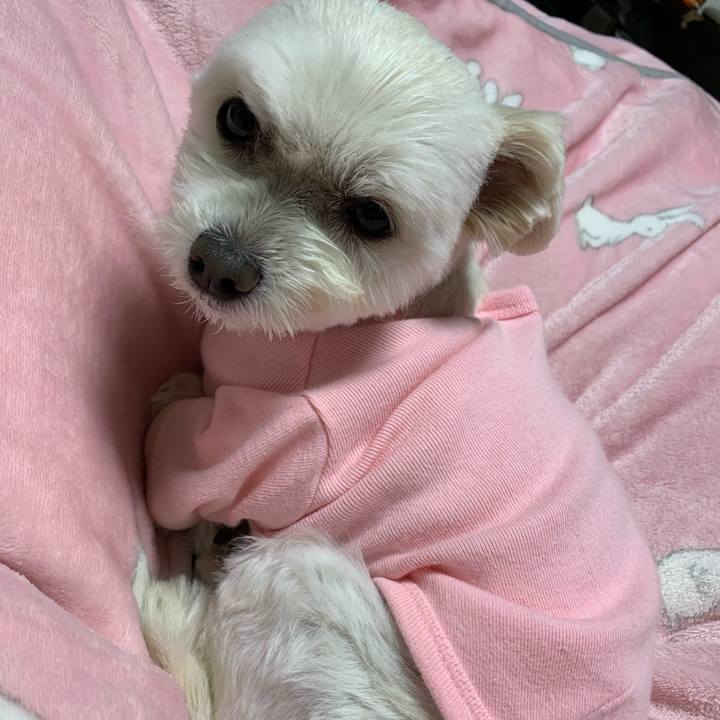 6c83e652 c770 406f bc82 b442d873285e 1577882595073