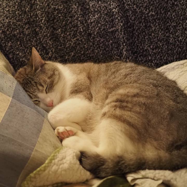 6c83f011 c9e9 484d 9f09 daf2d7c752c6 1622631266460