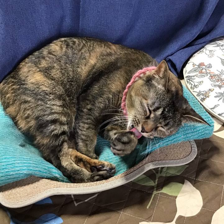 6c84227c 0ddb 46b0 8d02 ba6252ef9e99 1743922353207