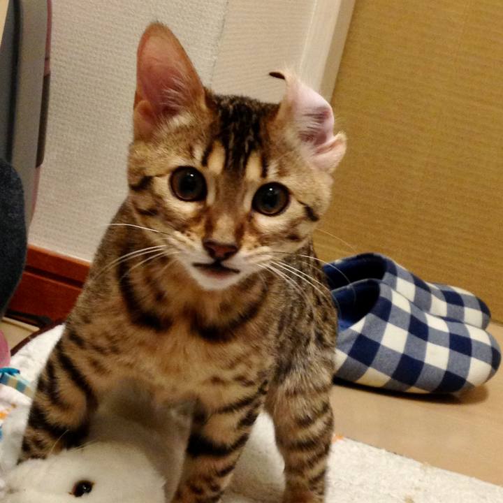 6c84317e 3e31 42fa 8b97 c47e2aacbec4 1654831599927