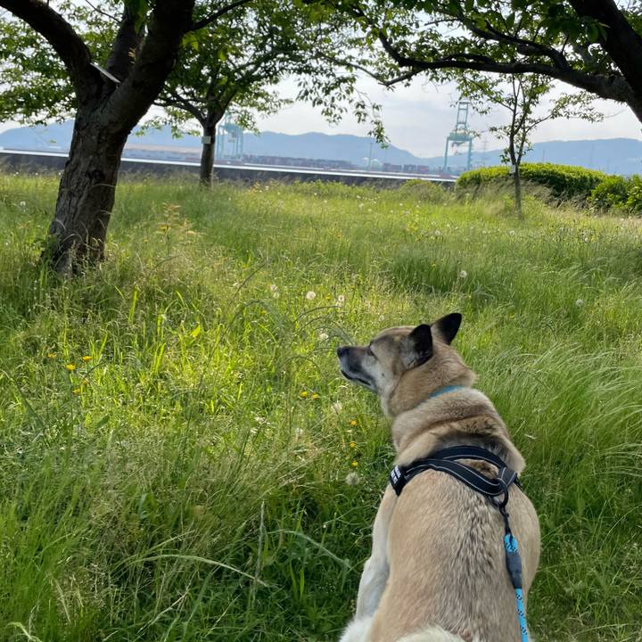 6c843f16 a97e 4c50 bdea 887e116a4c90 1717239694355