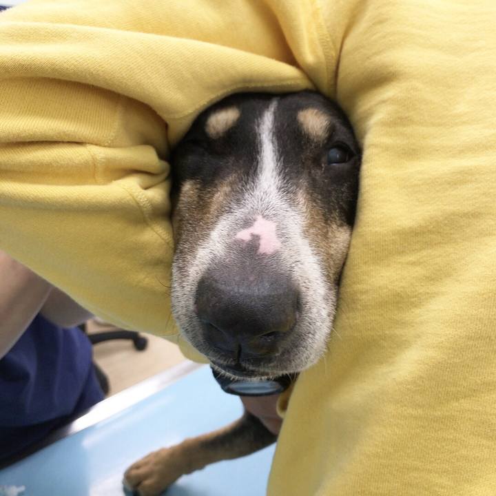 6c848c70 fd3b 4c17 a646 5178b62671e7 1519529360016