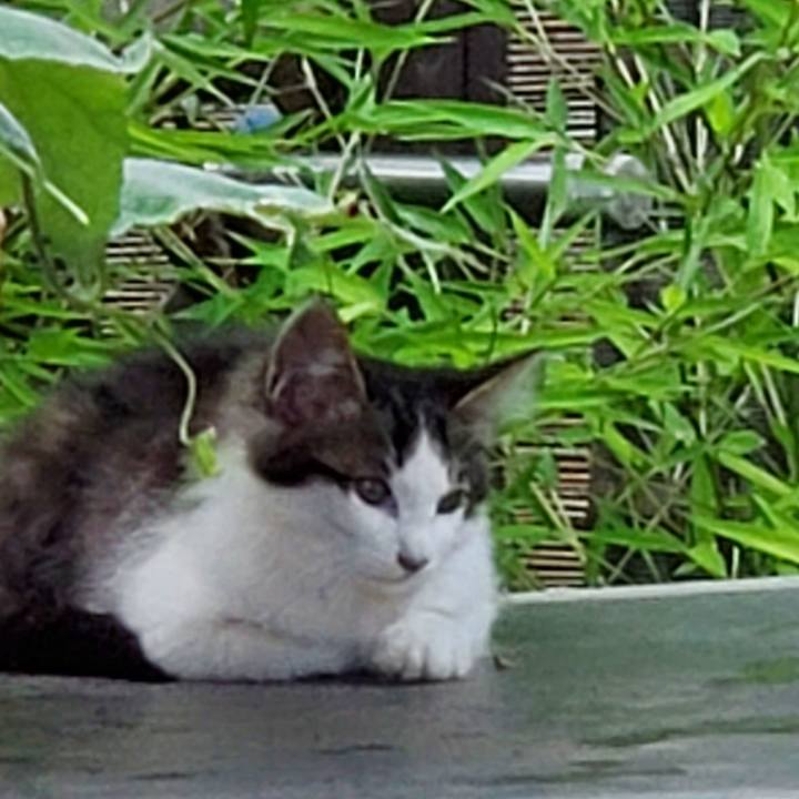 6c84b765 d48c 4784 ab7c 82f103db6f57 1687569653331