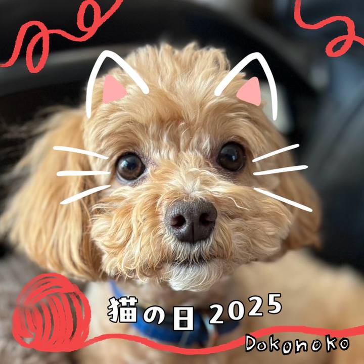 6c84dcb6 77a9 4eb0 86c4 e46ee3b56192 1740133334129