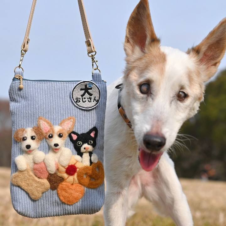 6c850272 8ebf 4e08 af19 31254bcca7d8 1771243632966