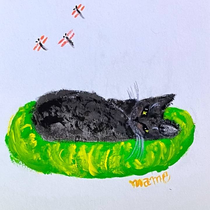 6c853acc b7db 45cd ad8f 351c3edcbe11 1701181055106