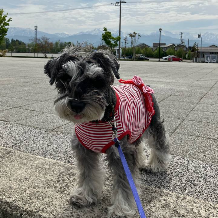 6c855f1e c1a6 4c3a a8b0 796e5b7df4a3 1714381011714