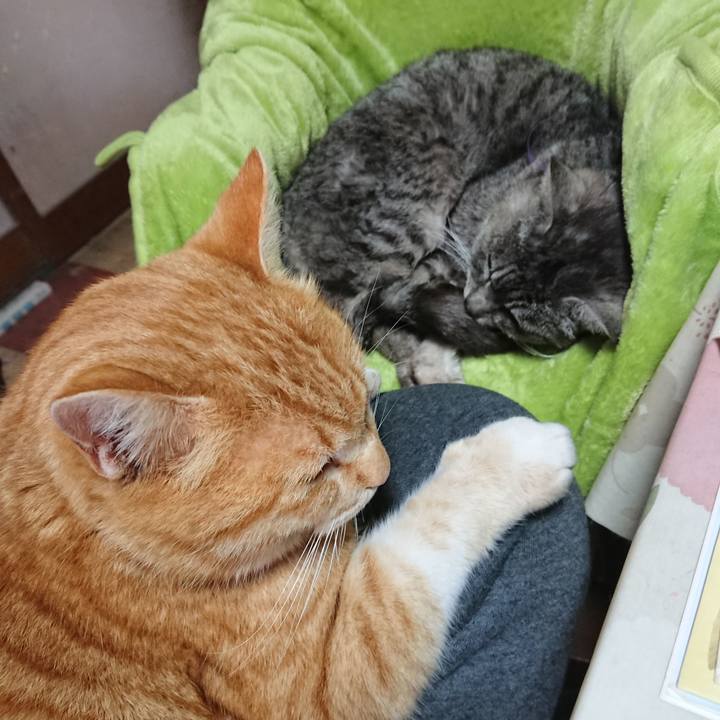 6c85659c c1c5 4860 a32f 6cb087eebe92 1582510591080