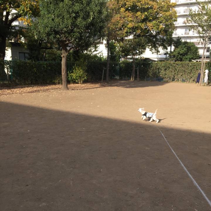 6c8575b1 4a47 4dde a642 0d84b8f09e9d 1542351459374