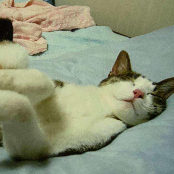 6c858f1b bcd9 45be 9f96 26c1786183a0 1663336784547