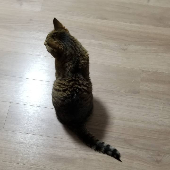 6c85b235 38b5 4aec af20 23d6bdd6974b 1615153039855