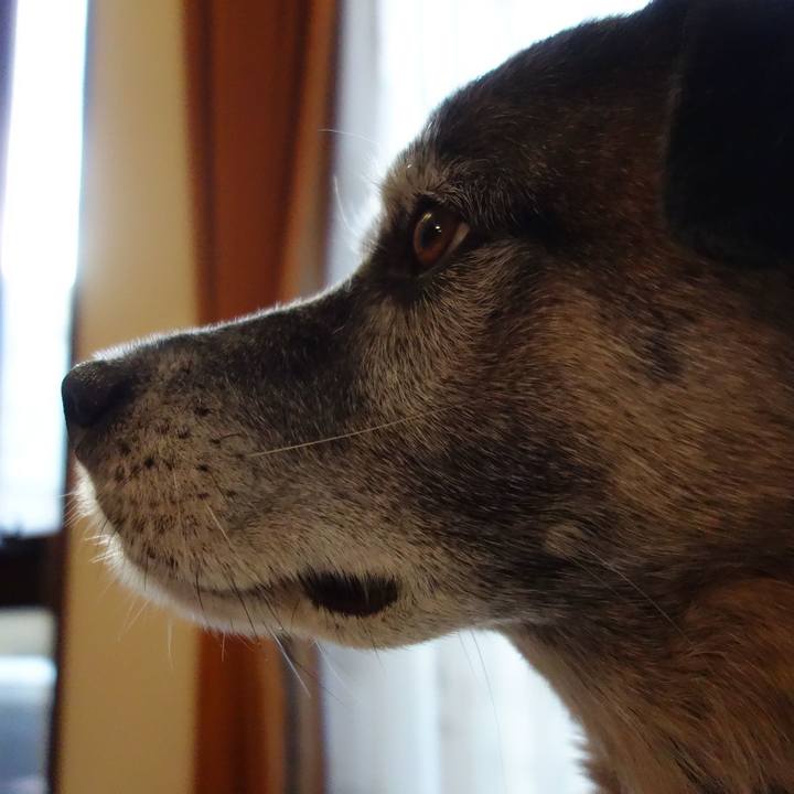 6c85ed2d accf 449f bd4e 47dfd534d196 1658706194295