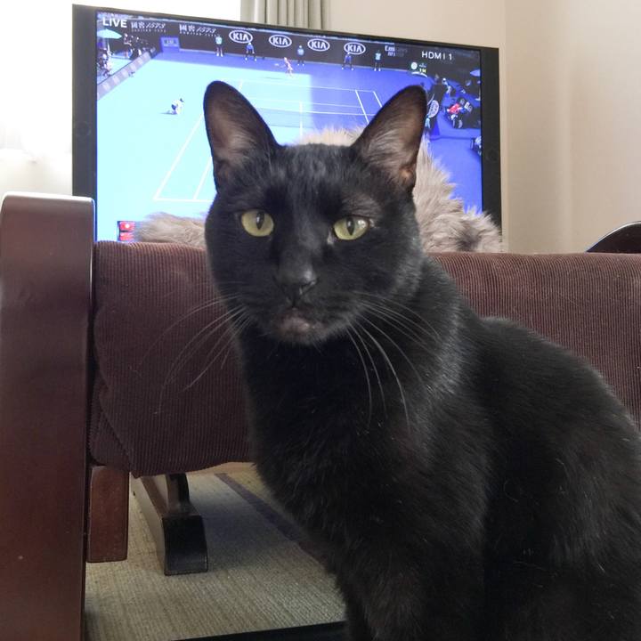 6c863f29 c9c2 4de9 90d2 f43b15fd5615 1580018796435