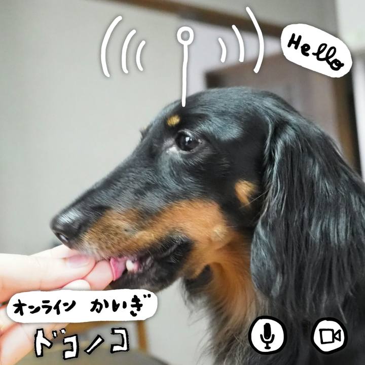 6c8641dd 6502 4a14 b460 3be4d3e89f5a 1590817405296