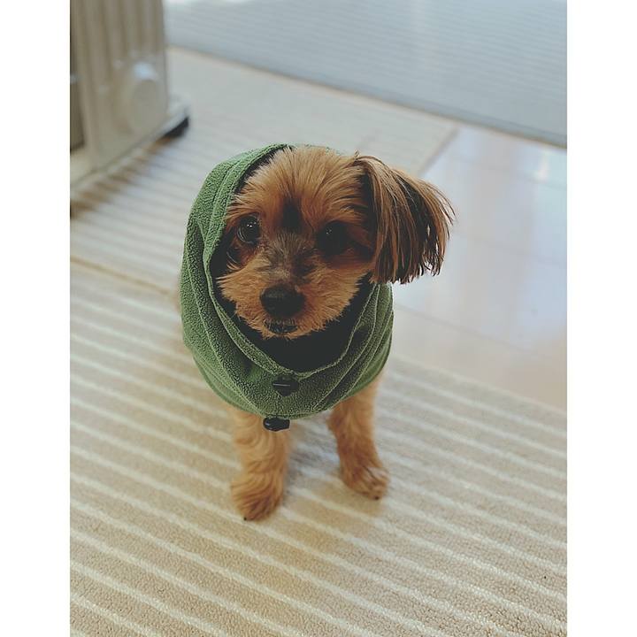 6c864e53 6dde 4dfb 8871 09eb8d72946b 1639886810156