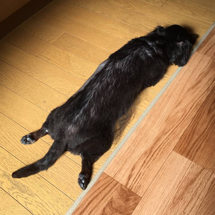 6c865cd9 d820 440a ba03 630c16e61a64 1539391680525