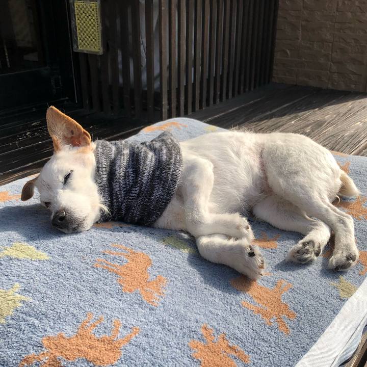 6c8678f7 f577 482a b8c5 436c72147bcf 1648172465257