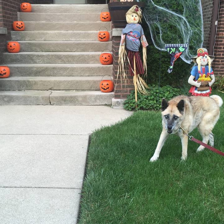 6c868eb6 8dac 42eb 8db7 a75ee92cff82 1571091740716