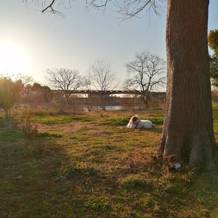 6c86b831 8e5e 4013 acfb 9a5437eb7ccd 1612603261897