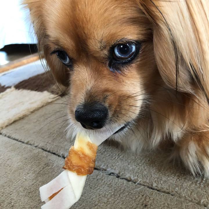 6c86ee24 292c 4036 921e 0ba096846a31 1561161150115