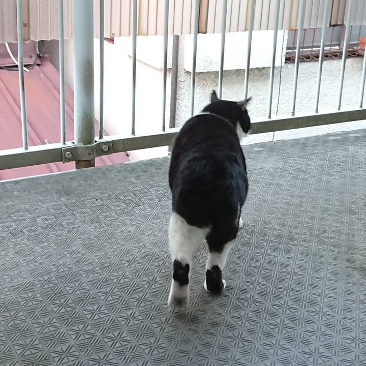 6c870939 b8a5 4897 9503 71f76e2ff25c 1666943416272