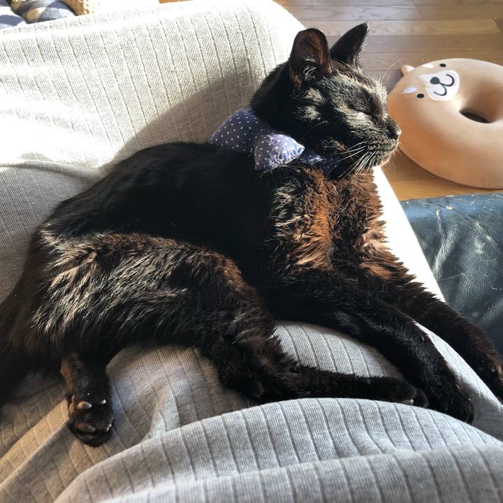 6c87279e c9c5 42b5 bd42 fd0bb949c4ef 1555795689958