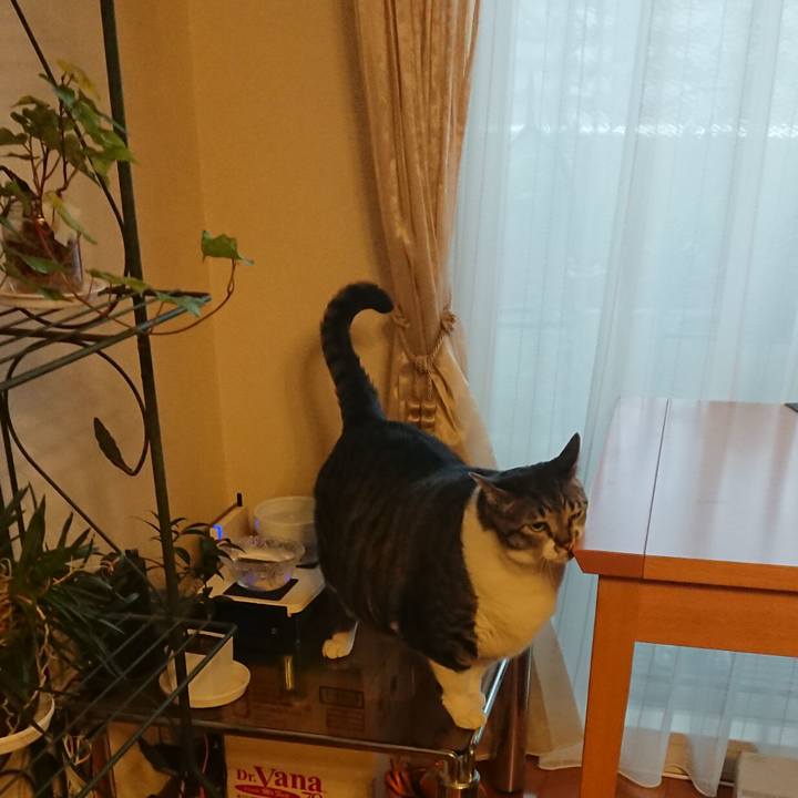 6c874563 a081 413b ae8b 8512f9e214bf 1574030079608