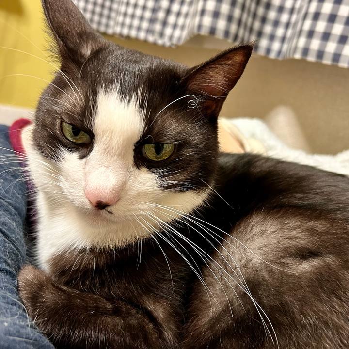 6c876903 754d 471b bc67 e193d58cf09e 1732537638255