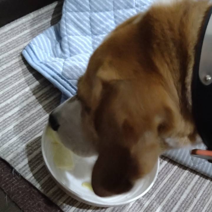 6c87ab52 229f 42bd a193 1b7622c9542f 1625398700421